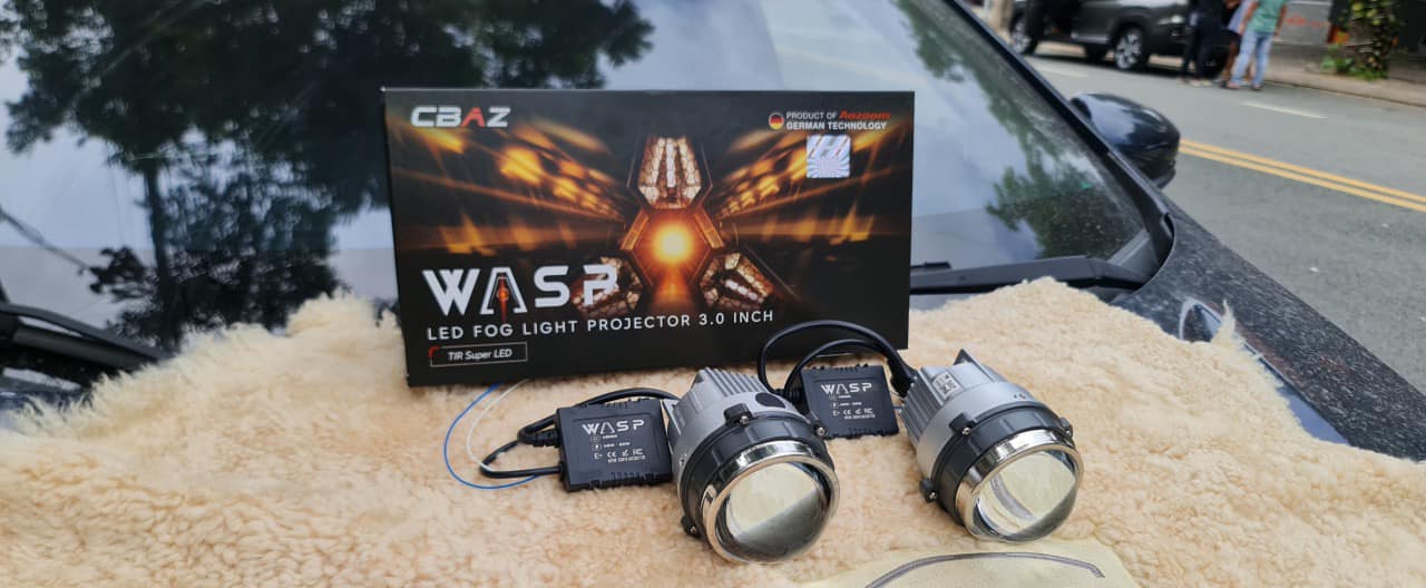 BI GẦM WASP LIGHT AOZOOM