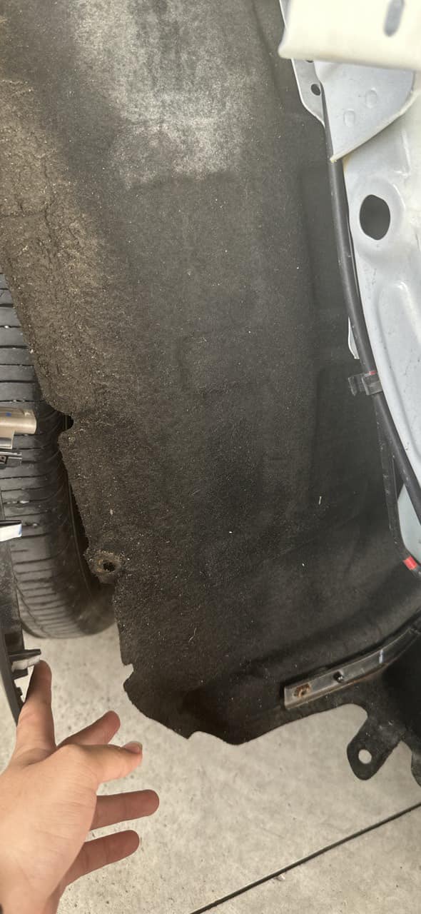 Hóa Nhựa Lòng Vè Ô Tô