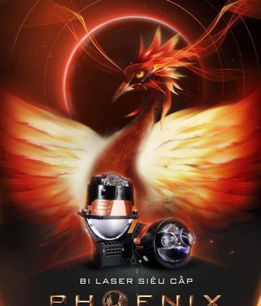 BI LASER PHOENIX AOZOOM - PHOENIX DOUBLE LASERS